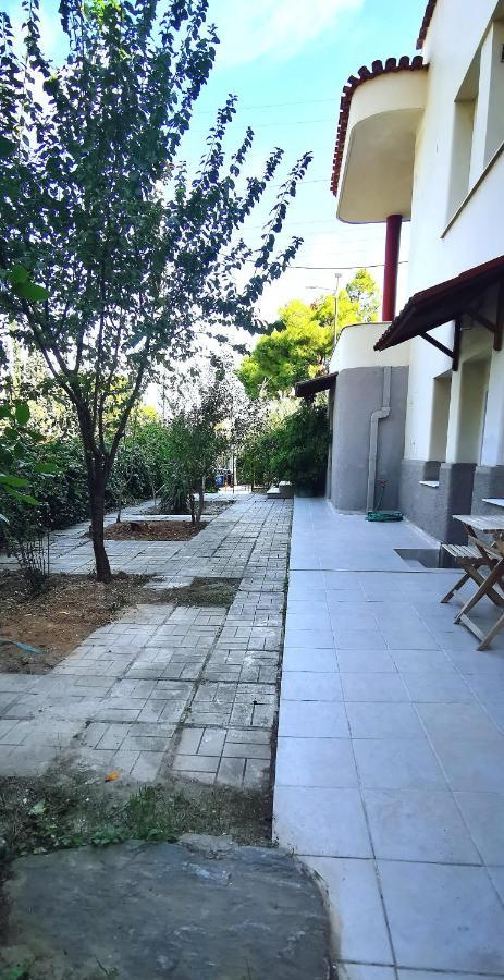Amazon Spacious 3Bedroom Premium Neighbourhood Atenas Exterior foto